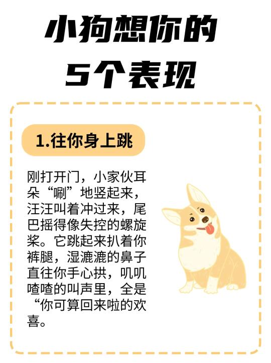 小狗想你的五个表现