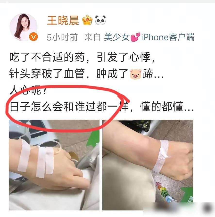 都以为王晓晨在闹脾气，我告诉你，这是一场女演员对自身价值的精密评估。她那句“日子