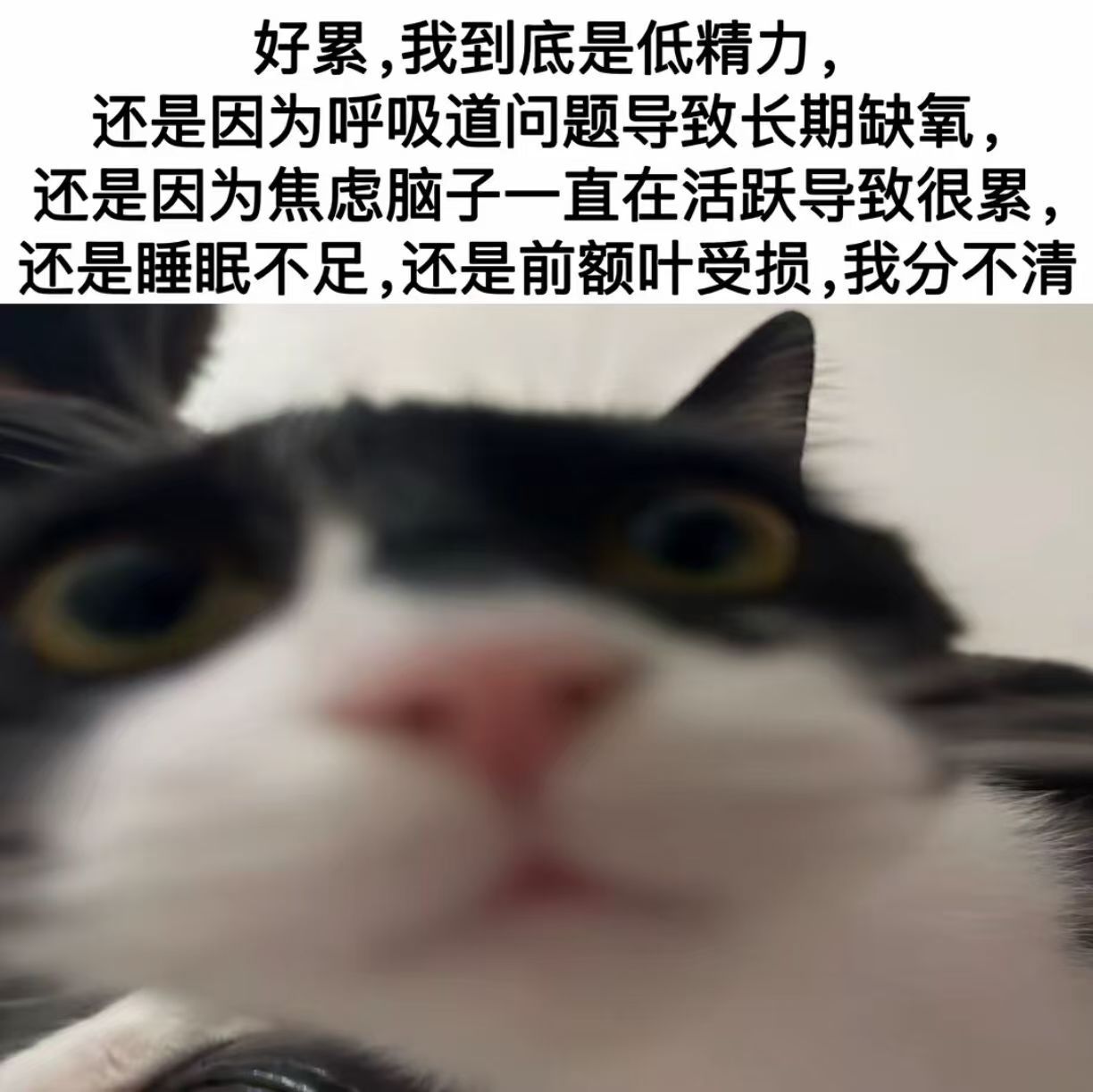 好累