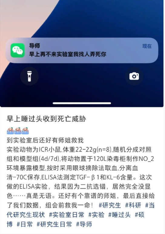 :只要一直不去实验室就不会被弄死哈哈哈哈