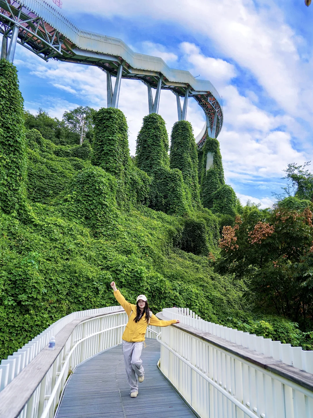 徒步赏秋！公交直达的空中栈道！太震撼了！