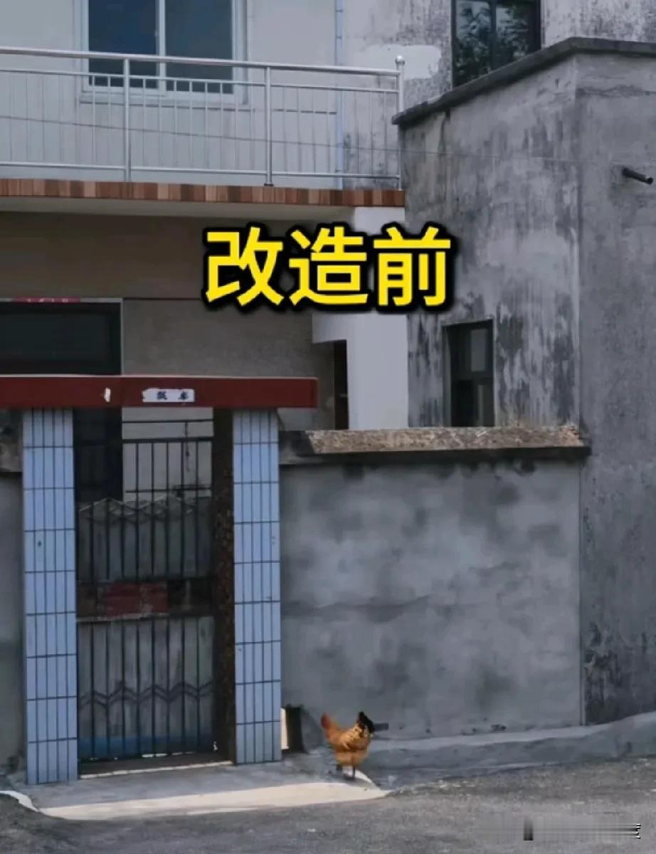 大家都睁大眼睛仔细瞧瞧，改造前后究竟有什么区别？一定要紧紧盯着，找出不同之处。