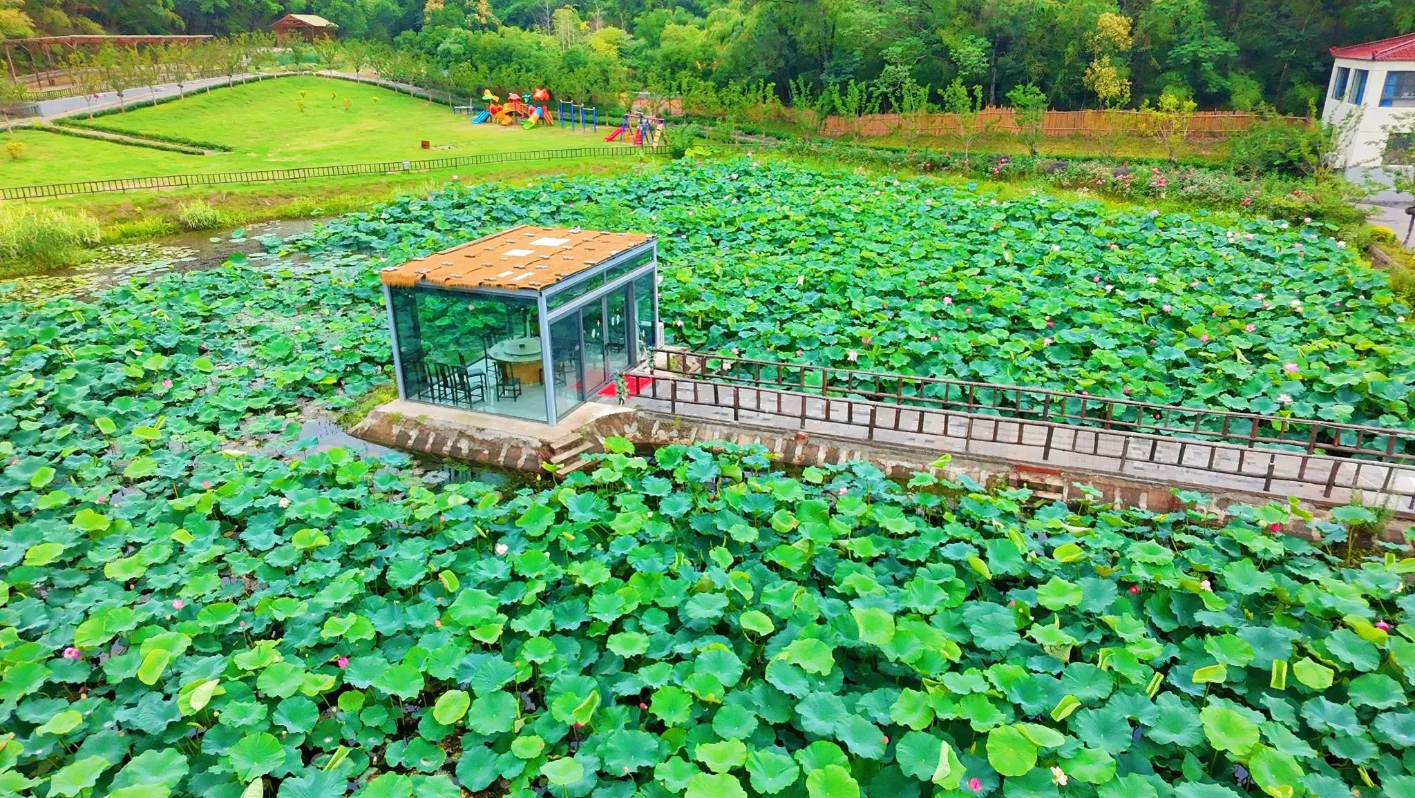 昼极于此，夏盛从今，半夏丛生，荷香漫岸。漫长日光铺遍山野街巷，蝉鸣撕开...