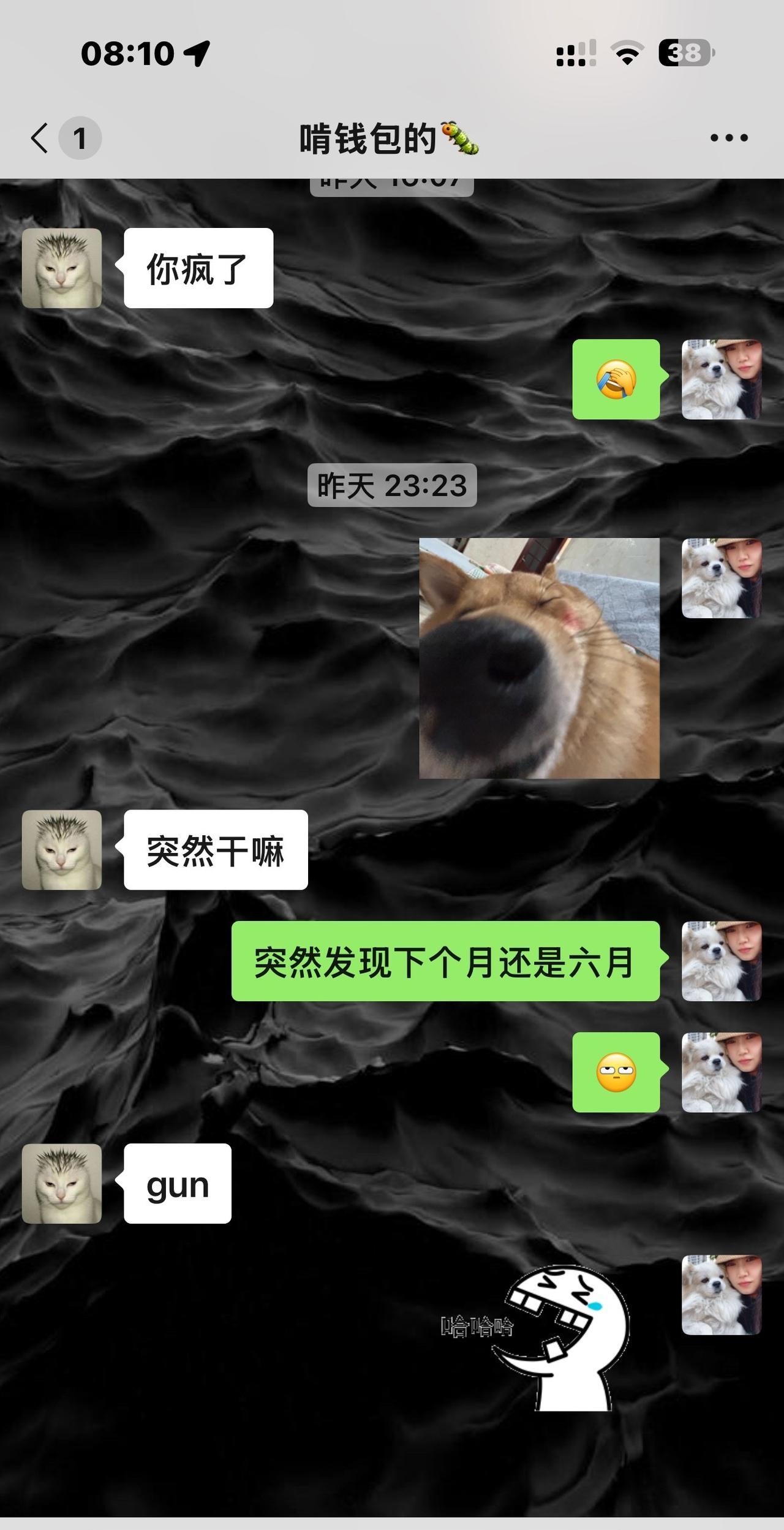 此时不捞何时捞？老天爷都给我两次捞的机会是不是？别人的捞不着先从自己养的下手