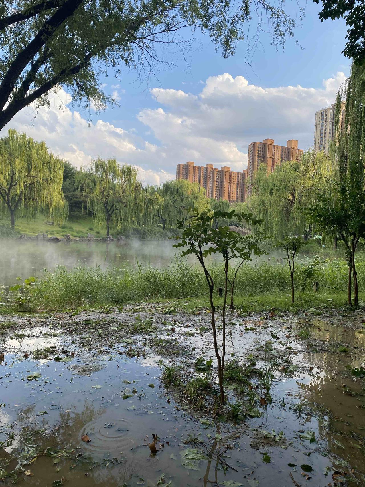 巳这个地支是最多变的地支，不要以为它是纯纯的烈火，非也。它跟丑或者酉在一起是