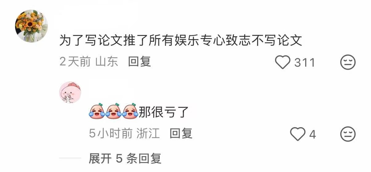 毕业论文为了写论文，我没有出去玩，也没有看电视，也没有写论文。