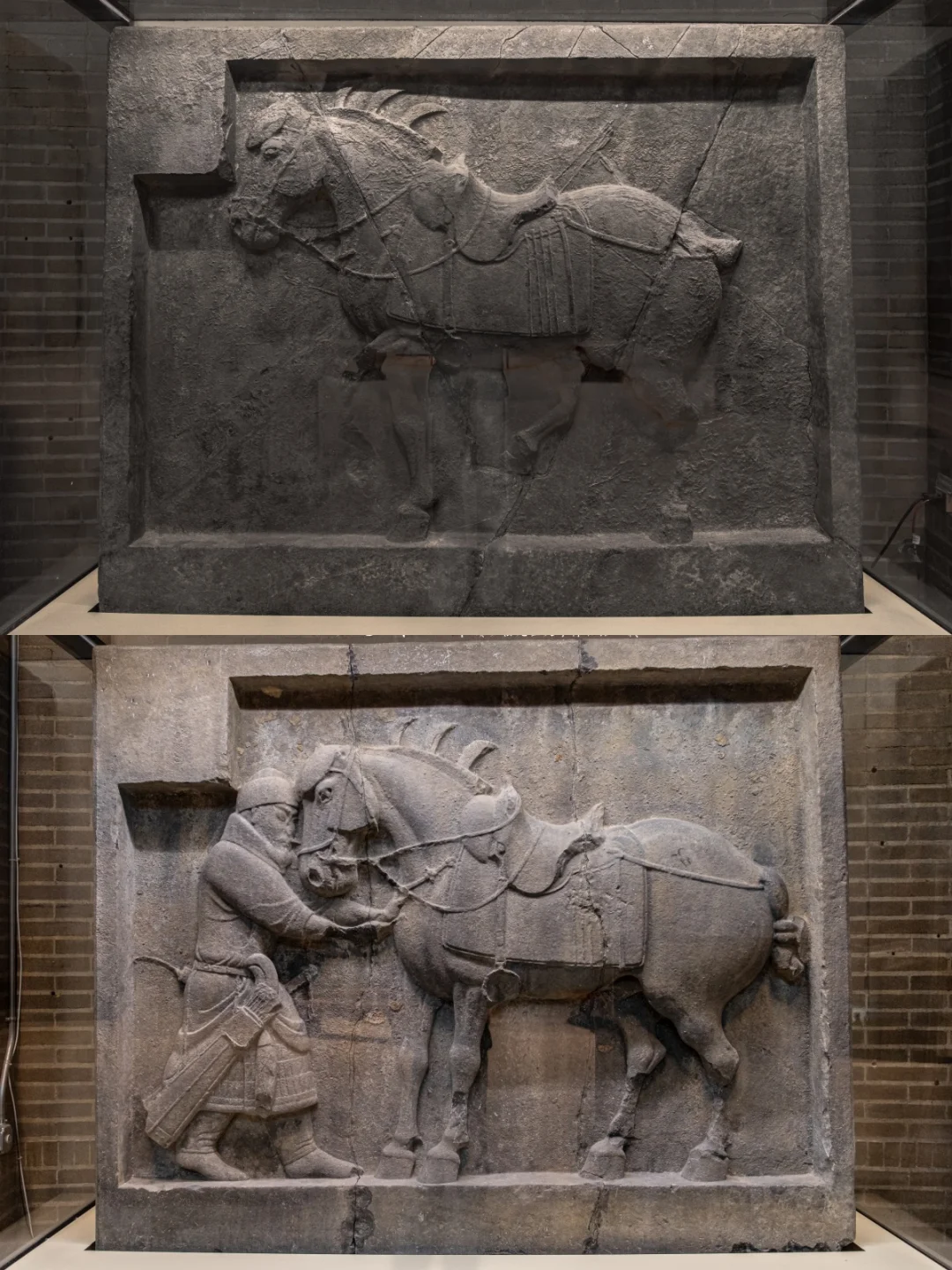 李世民怎么也想不到自己的两匹爱马流落美国