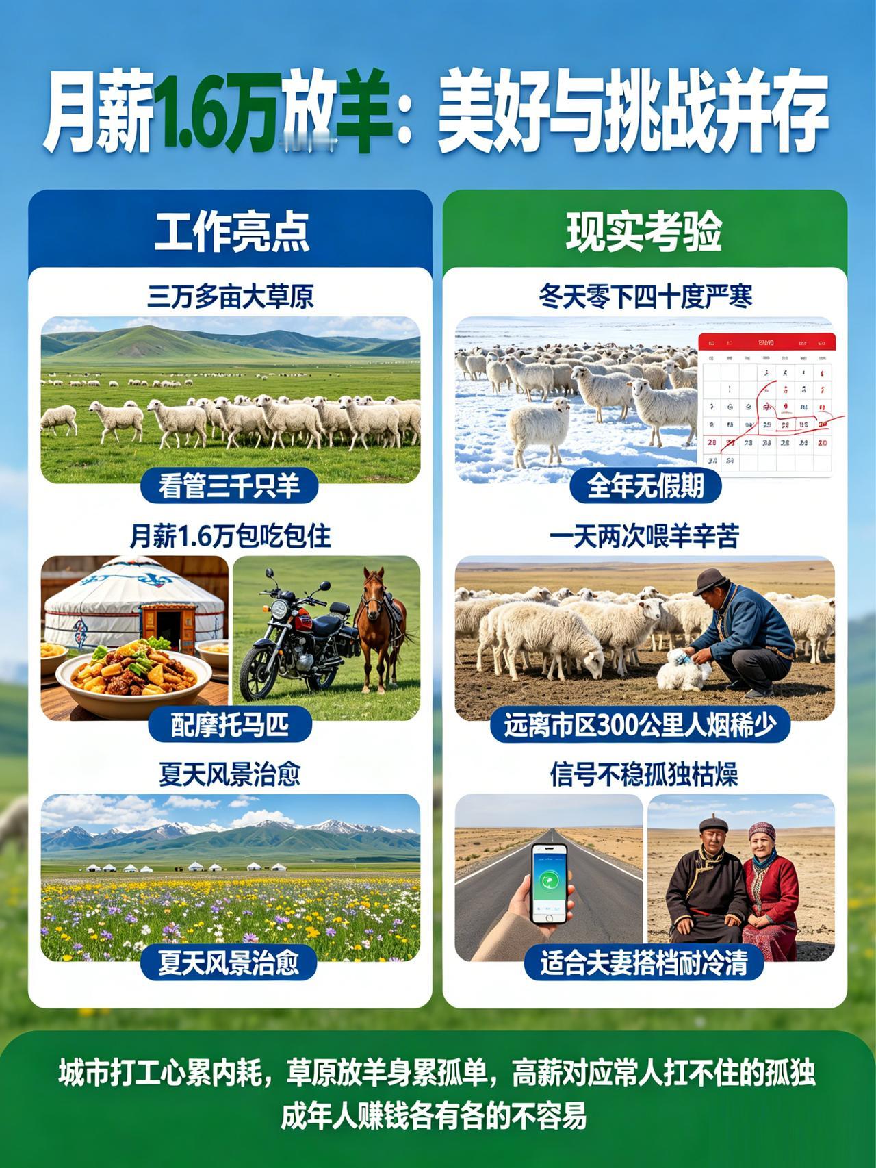全网疯传内蒙万元放羊工作，老板终于说实话了。三万多亩大草原，看管三千只羊，月薪