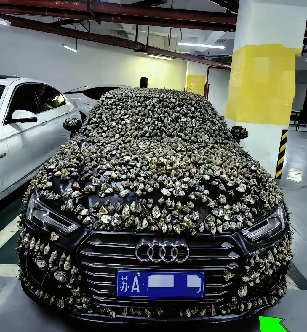 哈哈，这老哥就是刚。江苏一大哥的车位长期被别人占着，不管怎么沟通都不管用。最后