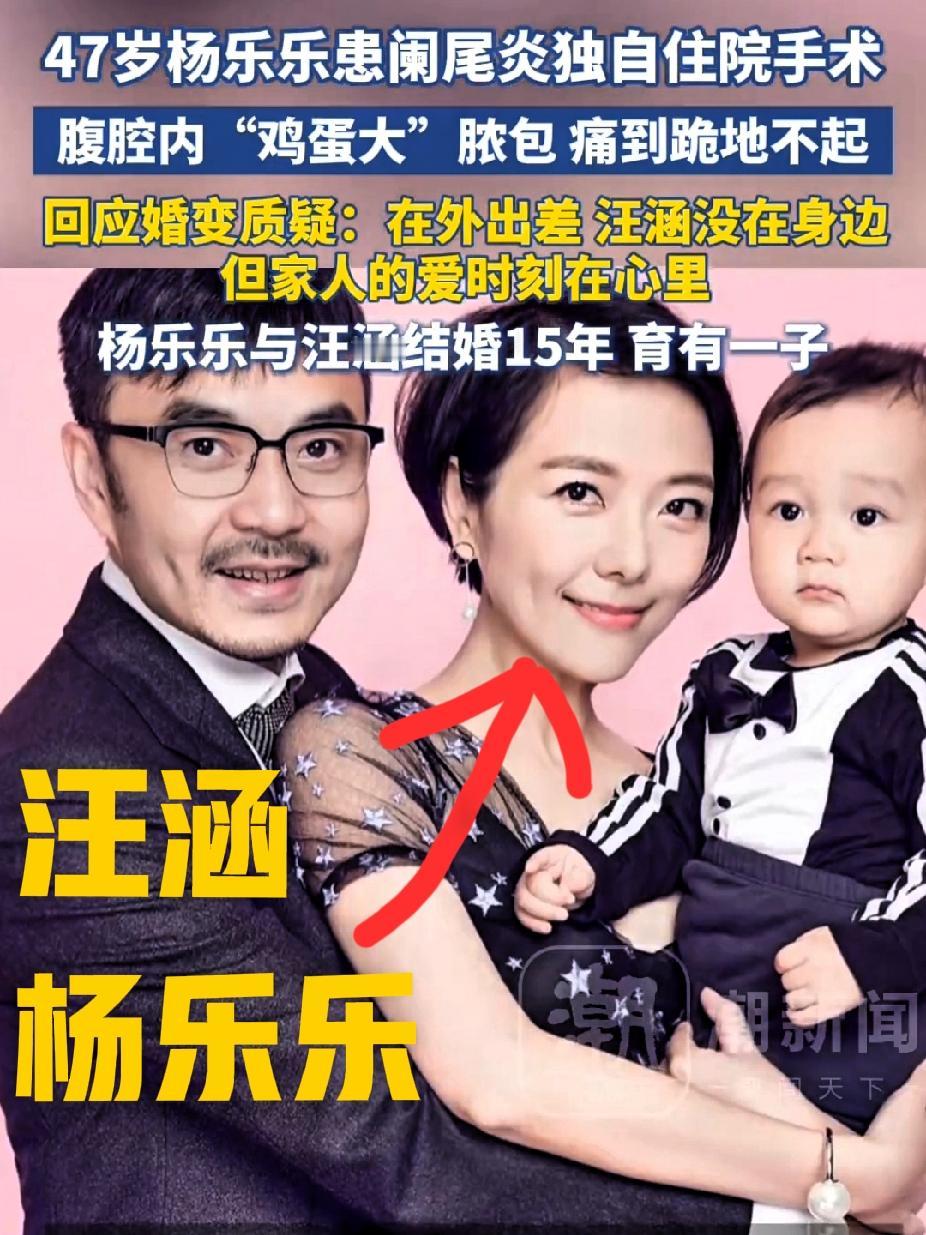 我预料到汪涵离不了婚，也预料到汪涵因工作会少些朝夕相处，但我没想到的是，他妻