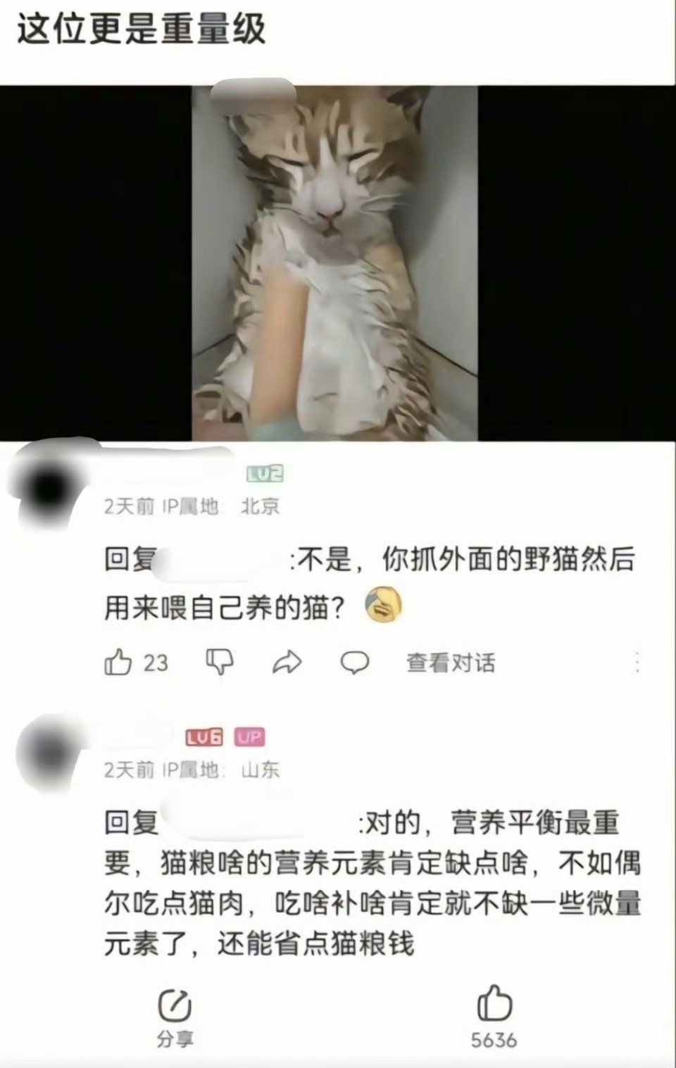吃啥补啥，吃难补猫[doge][doge][doge]​​​