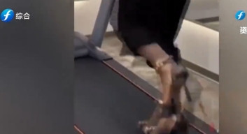 湖南益阳，一女子穿高跟鞋去健身房跑步，结果不出所料，她从跑步机上摔了下来，构成了