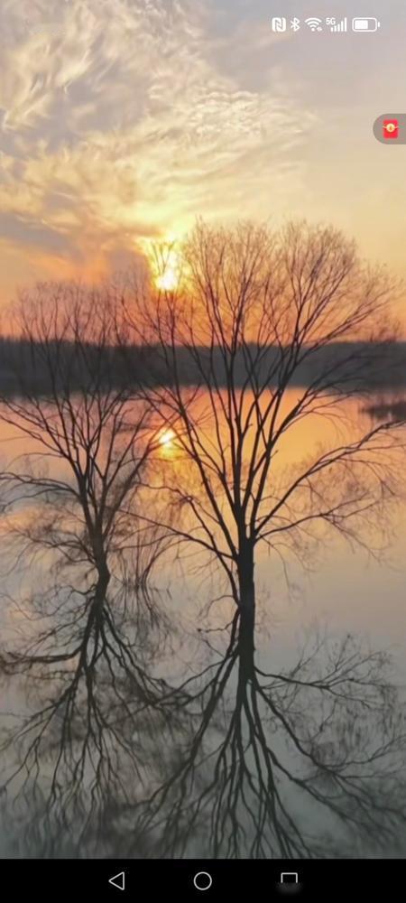 亲戚家有个钻石剩女今年42岁了，在澳门银行任主管，收入可观，之前一直挑着，觉得同