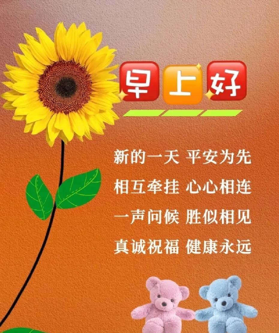 [玫瑰]早上好[玫瑰]新的一天平安为先；相互牵挂心心相连；一声问候胜