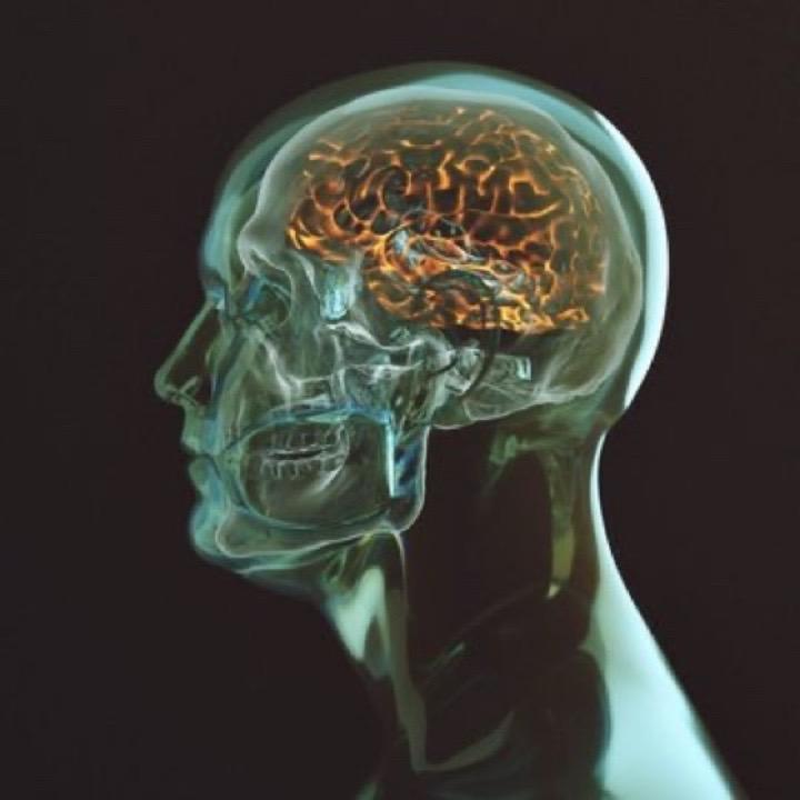 神经学表认为，意识可能并非来自神经元，而是来自大脑中一条隐藏的通路，在那里思想以
