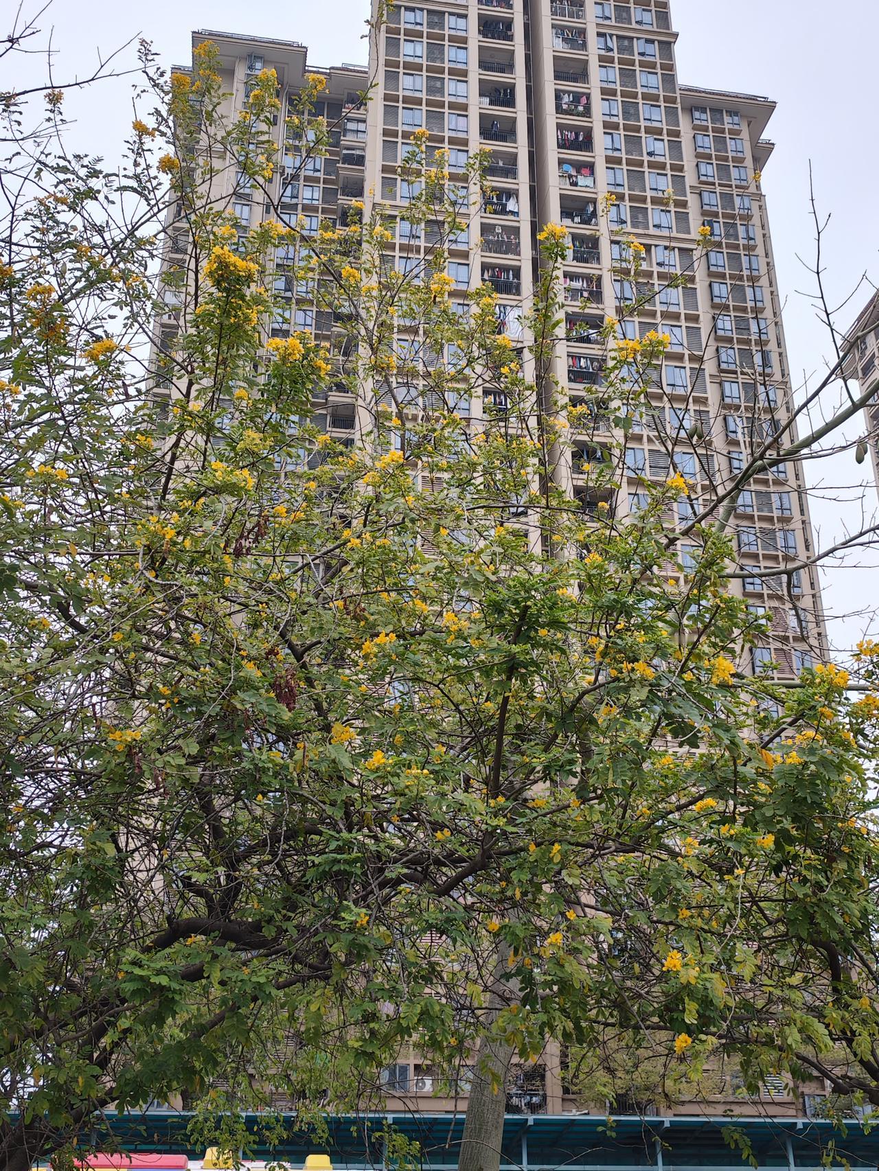 以前看过向往的生活，一个农村的大院子，男的住一间房子，女的住一间房子，每人就一米