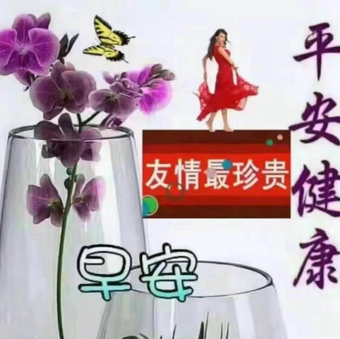 [比心][玫瑰]一寸情谊，一寸金，相互牵挂，刻在心，感恩今生能相遇，牵挂问侯放