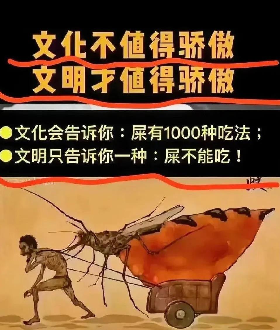 一谈及西方制度文明，总有人怒怼你，哪有什么文明？不过是靠殖民靠抢劫得来的财富罢了