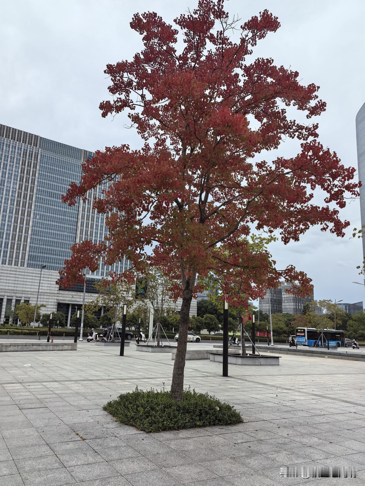 杀伐果断本月最后一个交易日,不少人在翻看自己的账户,看本月最终收益如何。