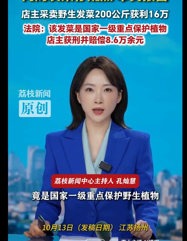 “这16万，赚得值吗？”江苏扬州，男子只想网购点发菜尝个鲜，收货后却发现跟平时买
