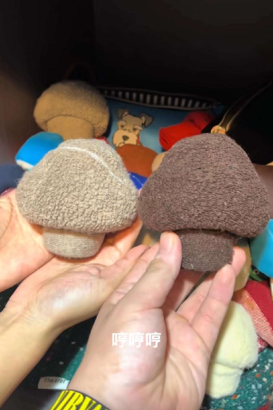 一想到一群人半夜起来卷蘑菇袜子，就想笑，大半夜睡醒了，起来叠蘑菇，把蘑菇撇日本去