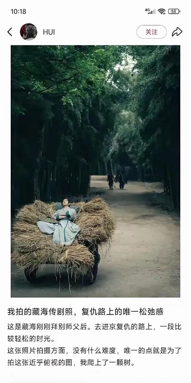 一张照片就能封神，不愧是艺术生的审美，不愧是爬上树拍到的照片，给摄影师加鸡腿。