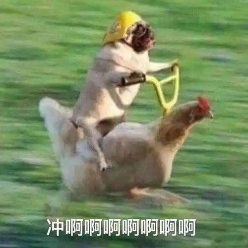 杭州菜市场都进化出减脂版了以前热量是营养师和食品包装上才搞得清的东西，现在咱们
