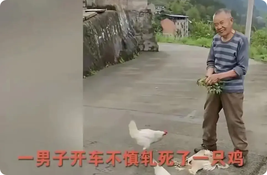 重庆，一男子驾车行驶时，不慎将一只鸡压死，男子见状想赶紧找到鸡的主人，对其进行赔