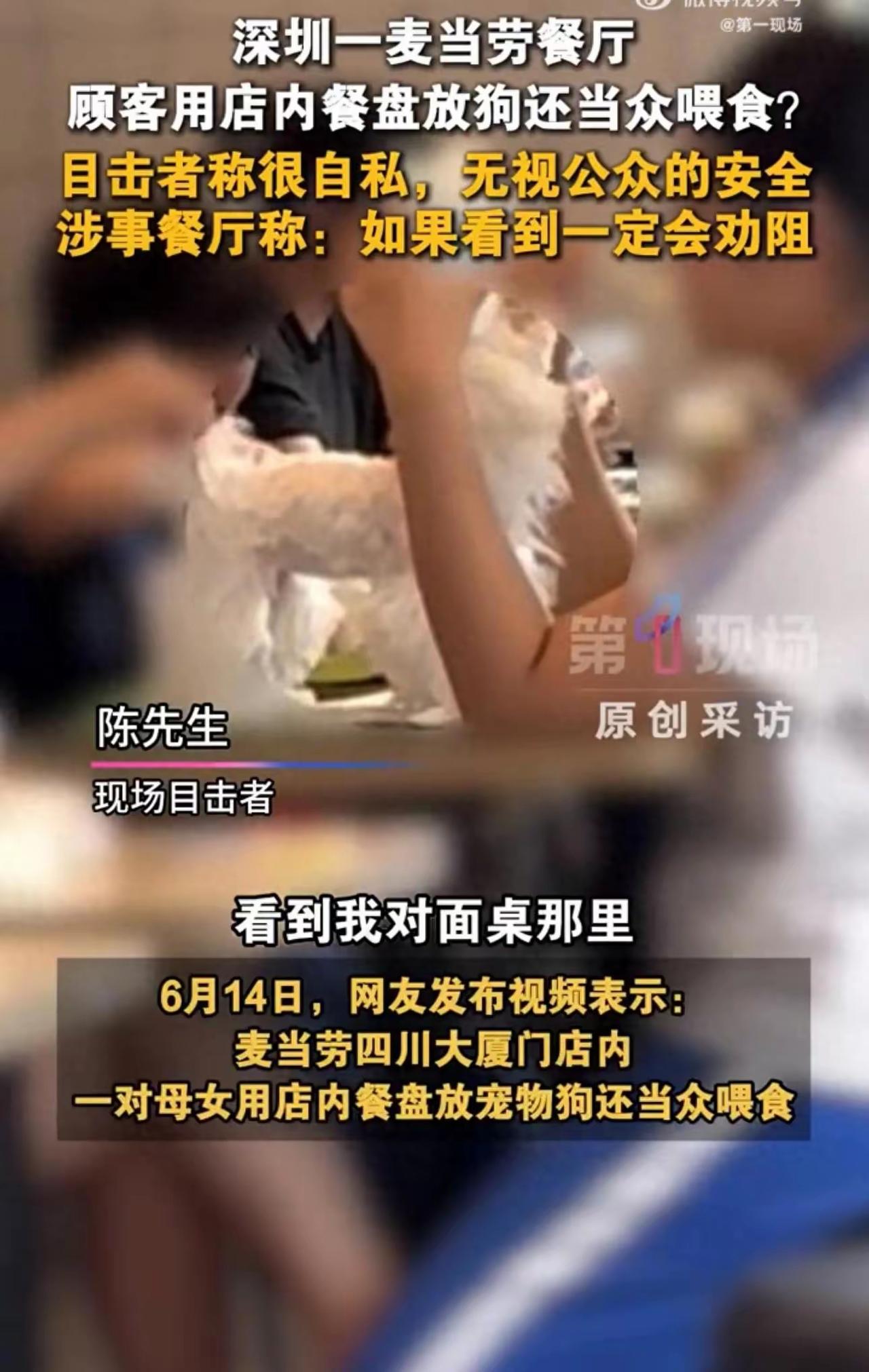 母女在麦当劳把狗放餐盘里当众喂食，目击者：不知道她带的宠物狗到底有没有携带病毒