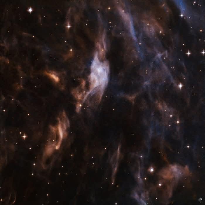 一个由巨星吹出的宇宙泡——Sh2-308凝视银河系中最令人惊叹的宇宙泡之一：