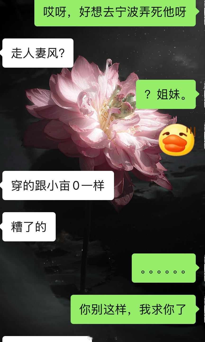 掌上明珠听到我的呼唤于是就这样穿了​​​