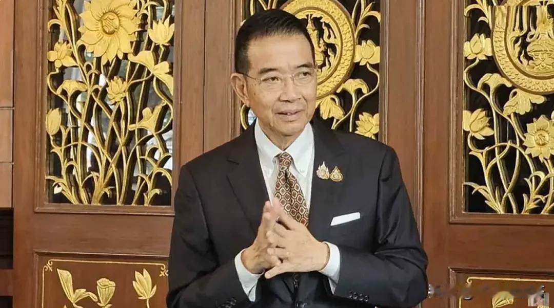 停火？别急着鼓掌泰国外长今晚刚说“将达成停火”，话音未落，看守总理阿努廷就隔