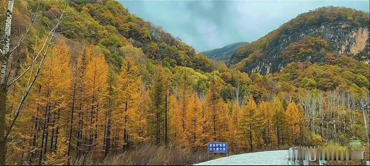 房子降价的风吹到你那里了吗？反正我们小县城的的房价挺得坚硬！最近想给孩子买套