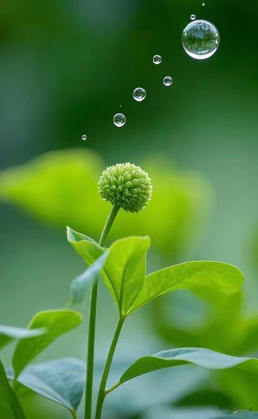 夫妻长久恩爱的智慧一、不改造对方，只筛选和接纳-别指望结婚能改变一