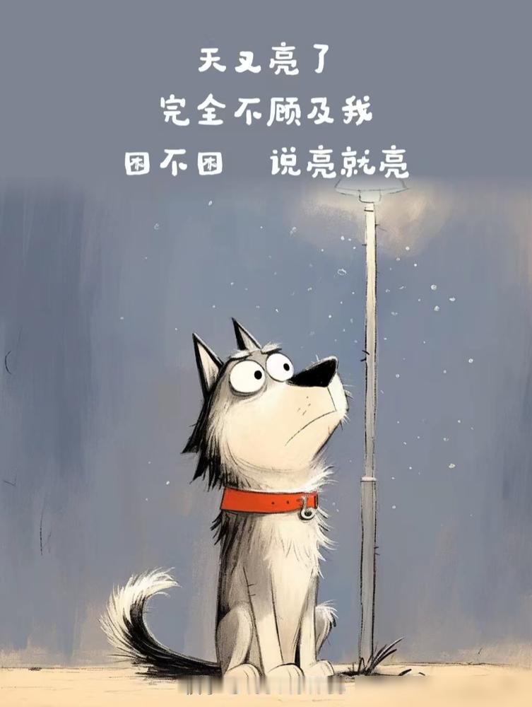 有的孩子真的是来报仇的，我老公的舅舅年轻的时候，就因为办公室恋情，（双方都有家庭