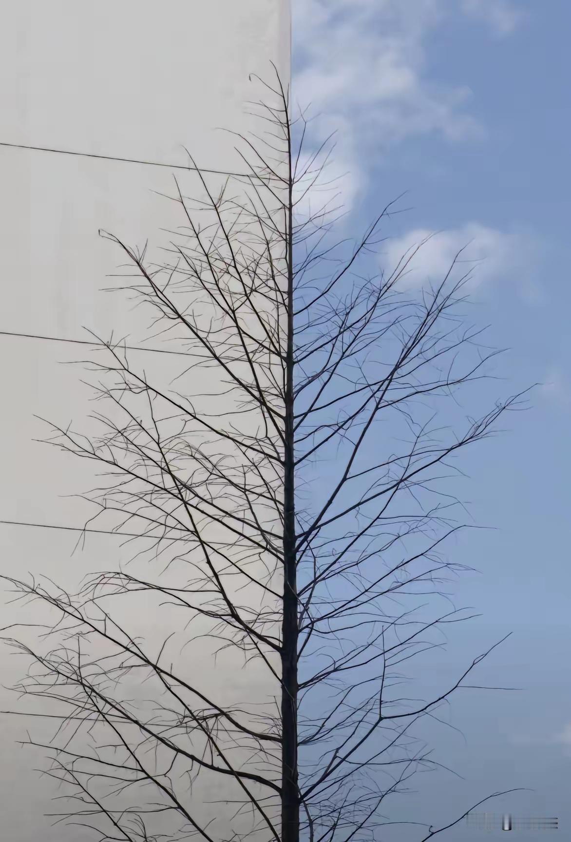 有点想象力