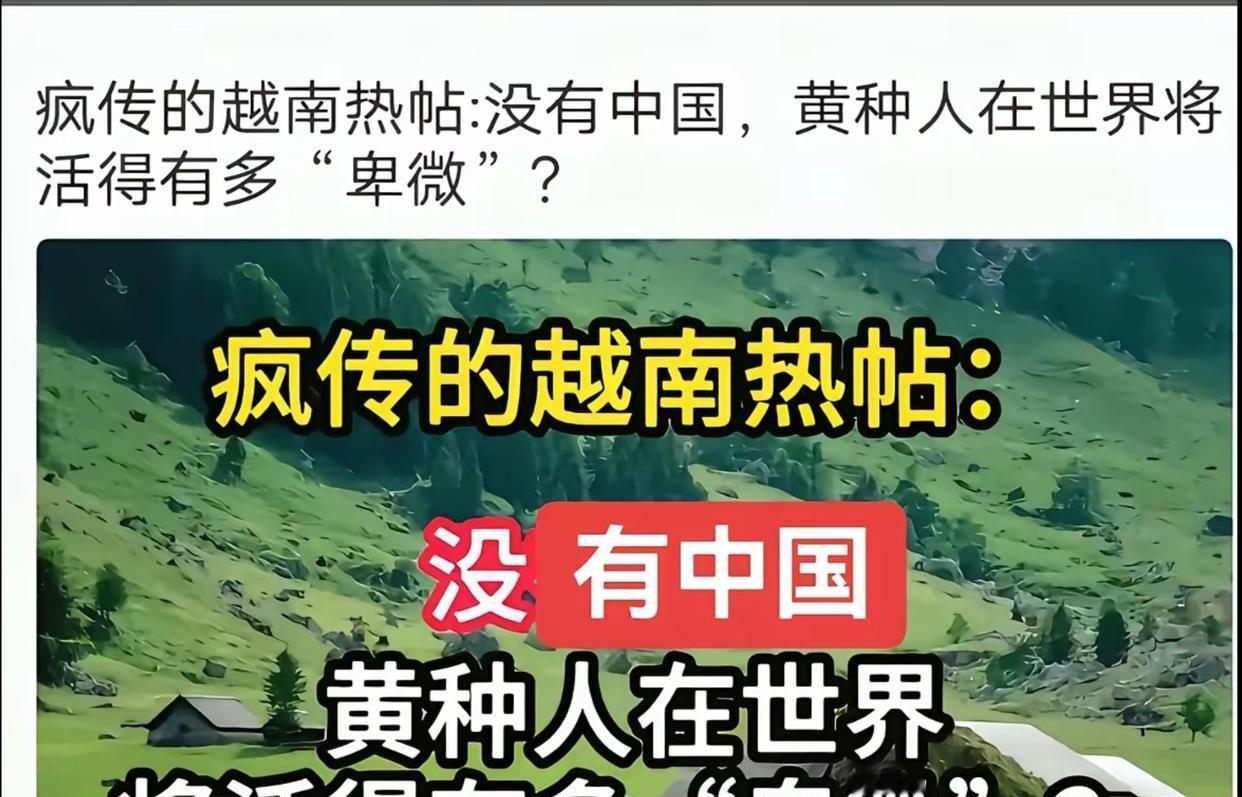 一位越南网民发帖感慨：原以为高市那番话只会点燃中国本土网友的怒火，没想到“翻旧账