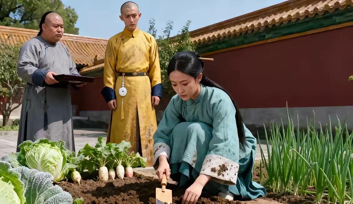 雍正晚年，一宫女从不打扮，每日只在御花园种菜，雍正却对弘历说：“等你登基，第一个
