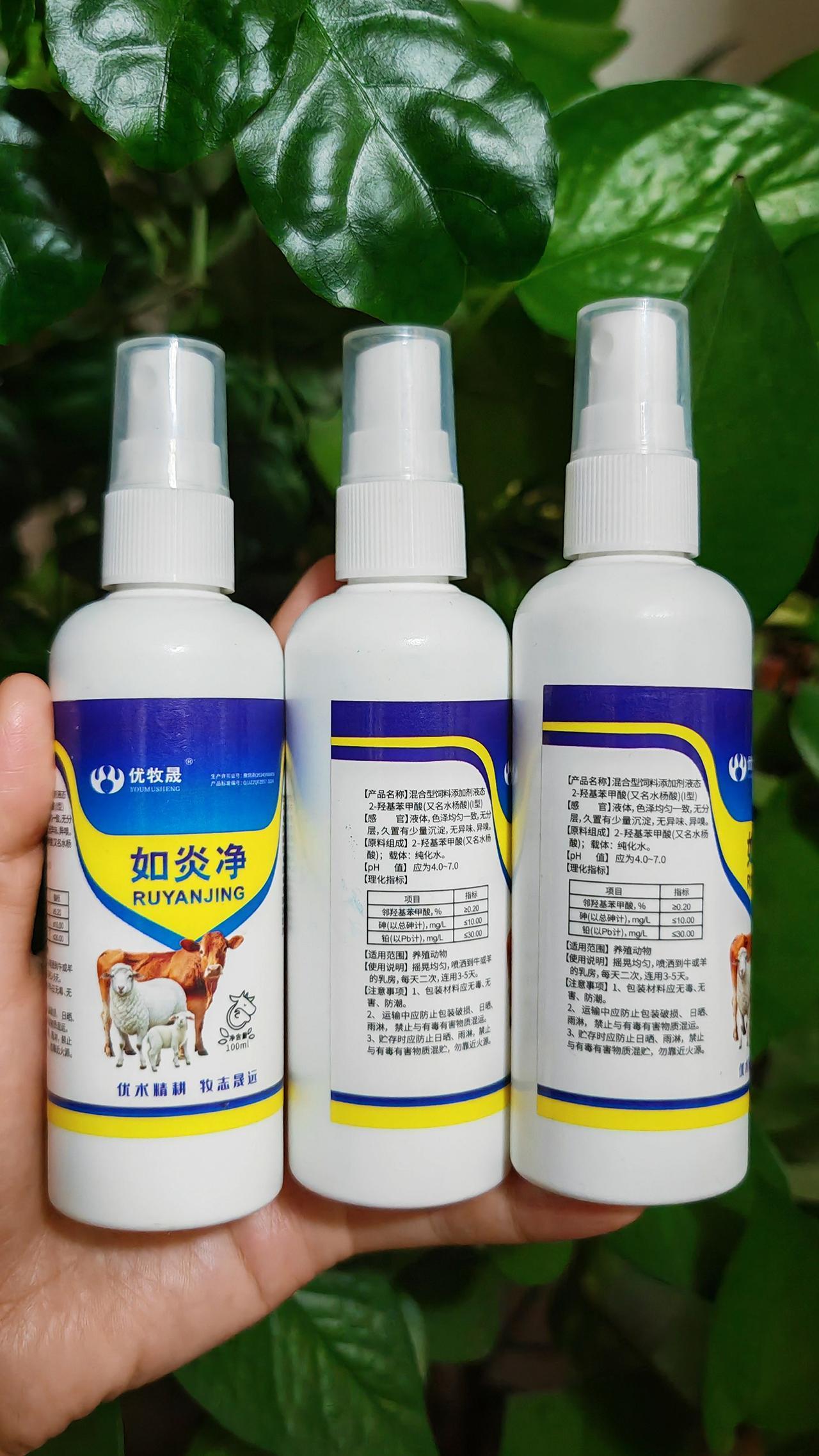 养羊人农村养羊牛羊养殖