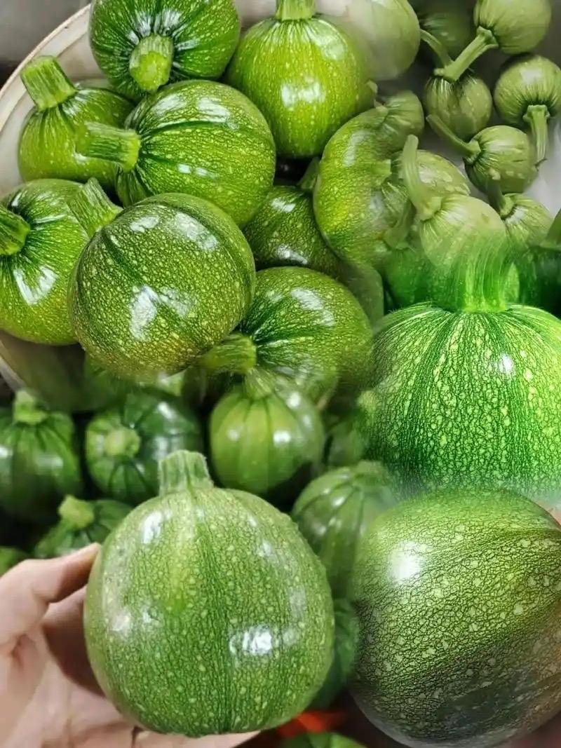 南瓜不用打药！！！在我所熟悉的瓜果蔬菜中，目前我只知道南瓜不用打药而且非常高产