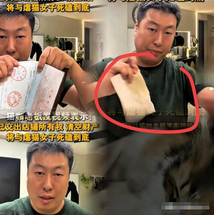 这老板也是个狠人！你杀了我的猫，我和你死磕到底！户口本我撕了，毕业证我撕了，