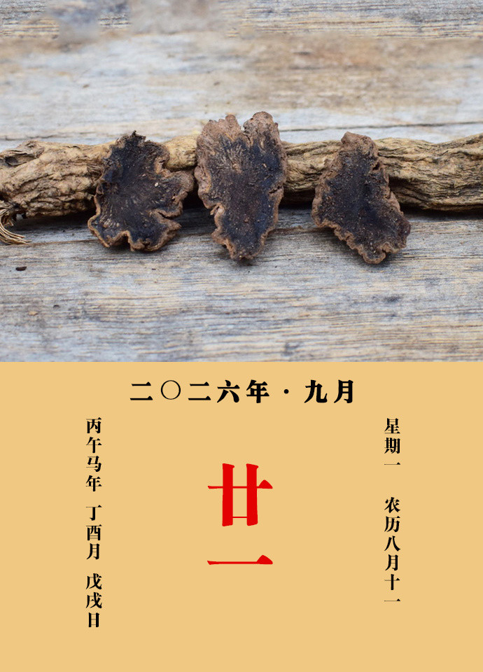 每天一味中草药陈藏器说：玄参主产乳余疾，产后血胀，止烦渴，散颈下核，疗诸毒鼠瘘
