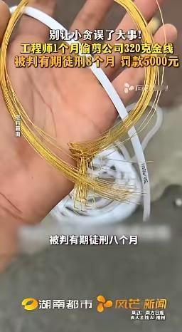 5月2日福建厦门检察机关披露：一工程师借调试设备之机，每次偷偷剪下3至5厘米纯金