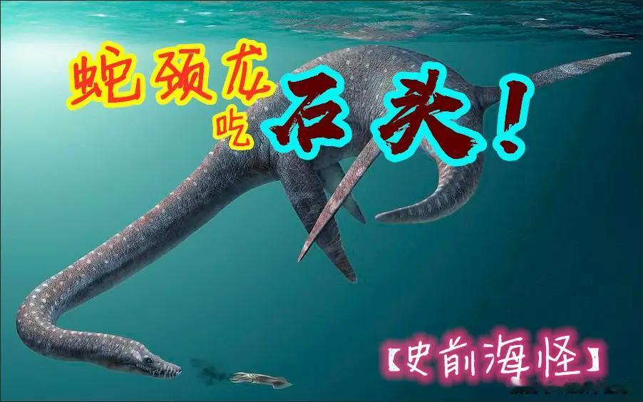 史前海怪偏爱吞石头？脖子占体长一半的神河龙，胃里藏250枚鹅卵石