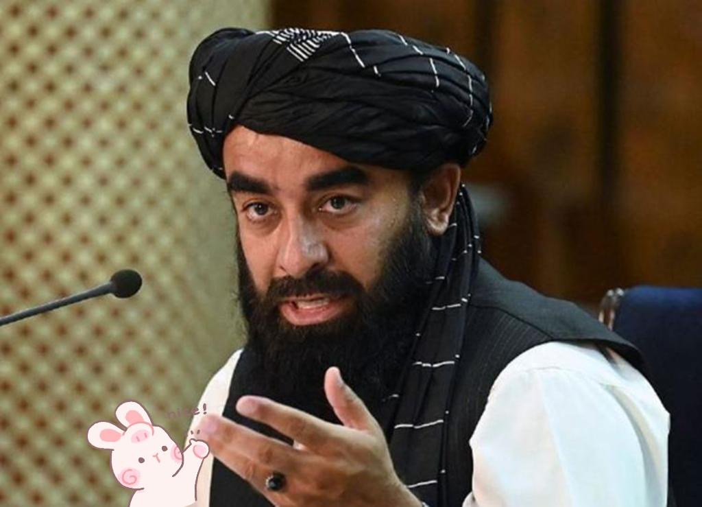 巴基斯坦、阿富汗消息11月25日，阿富汗政府发言人穆贾希德通过社交媒体证实，巴