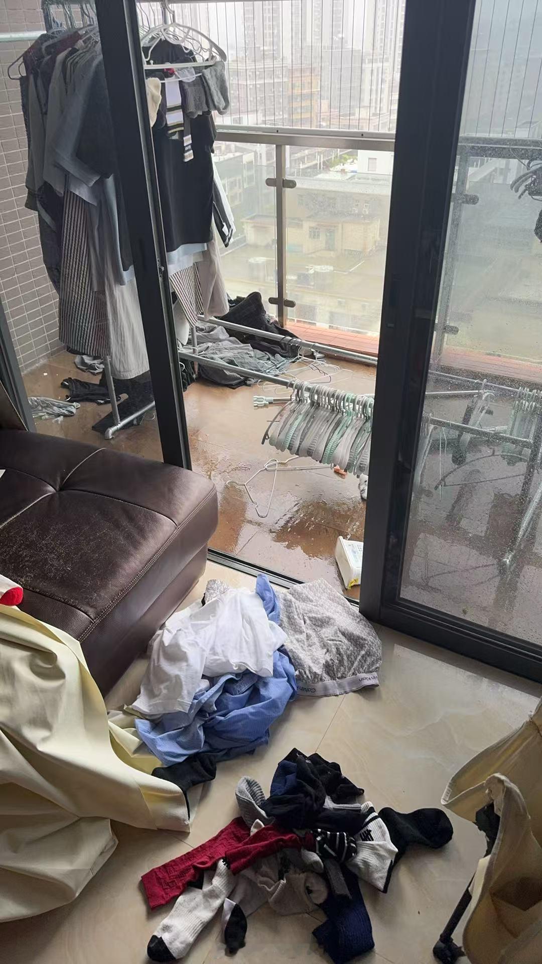 深圳台风一觉醒来[跪了]天塌了[跪了]昨晚忘记收衣服啦[跪了][跪了][跪了]