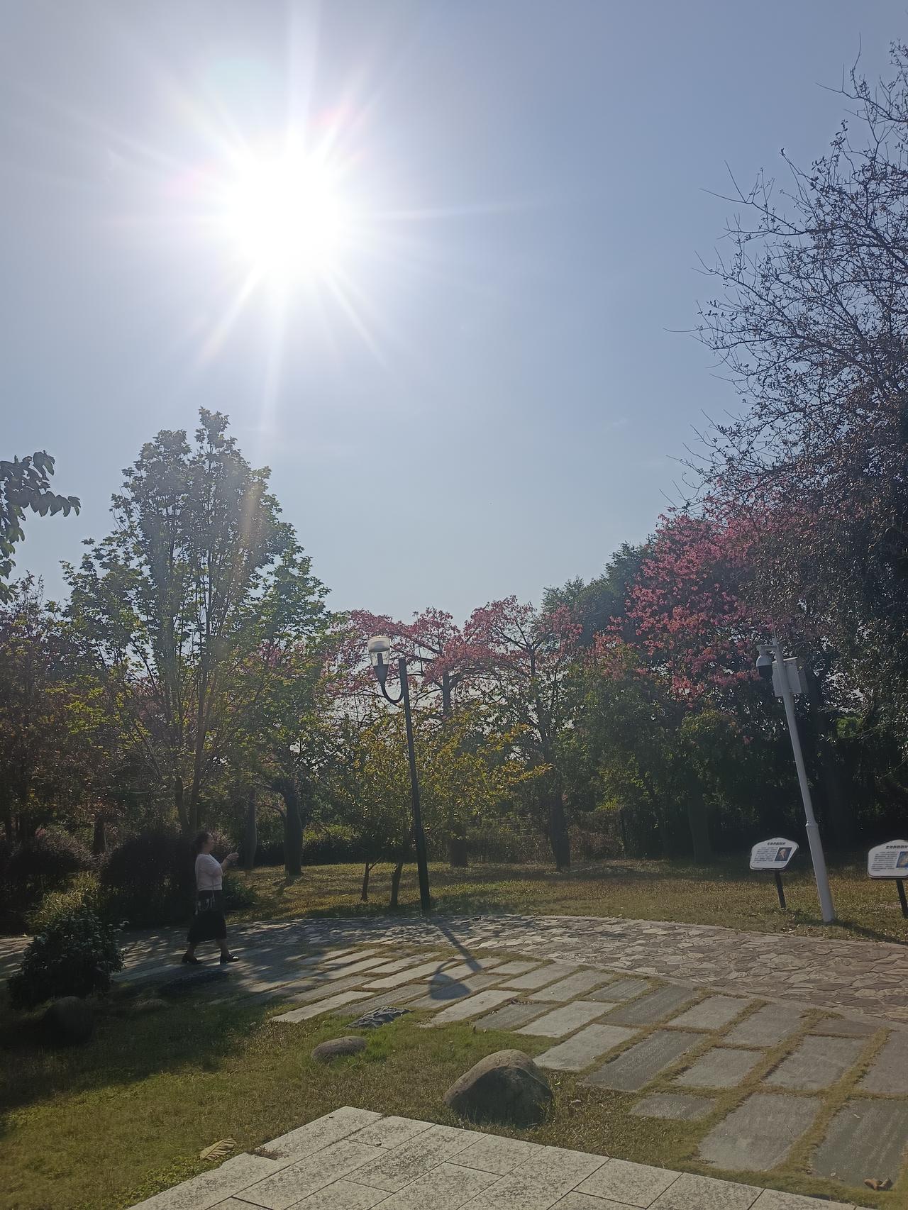 当今社会就是农村男子娶妻难，城里单身大龄剩女多！为何会有这样的社会的现象？