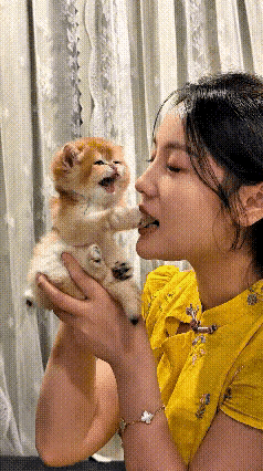 这视频我反反复复看了好几遍，小家伙实在太招人稀罕了。小姐姐把软乎乎的小奶猫托在手