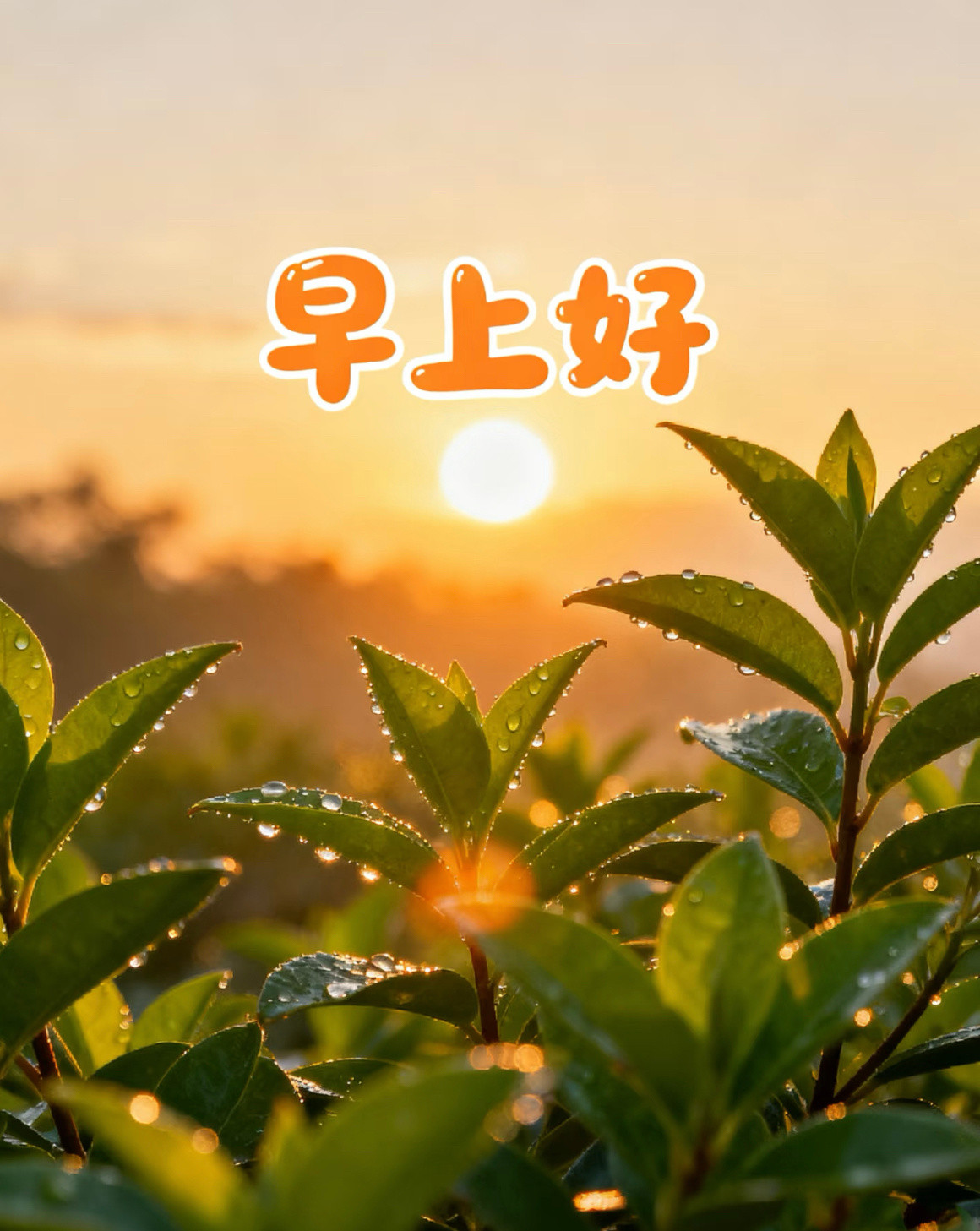 早晨是新的起点，用微笑迎接每一刻，用努力书写每一页，让今天成为精彩的篇章。早安～