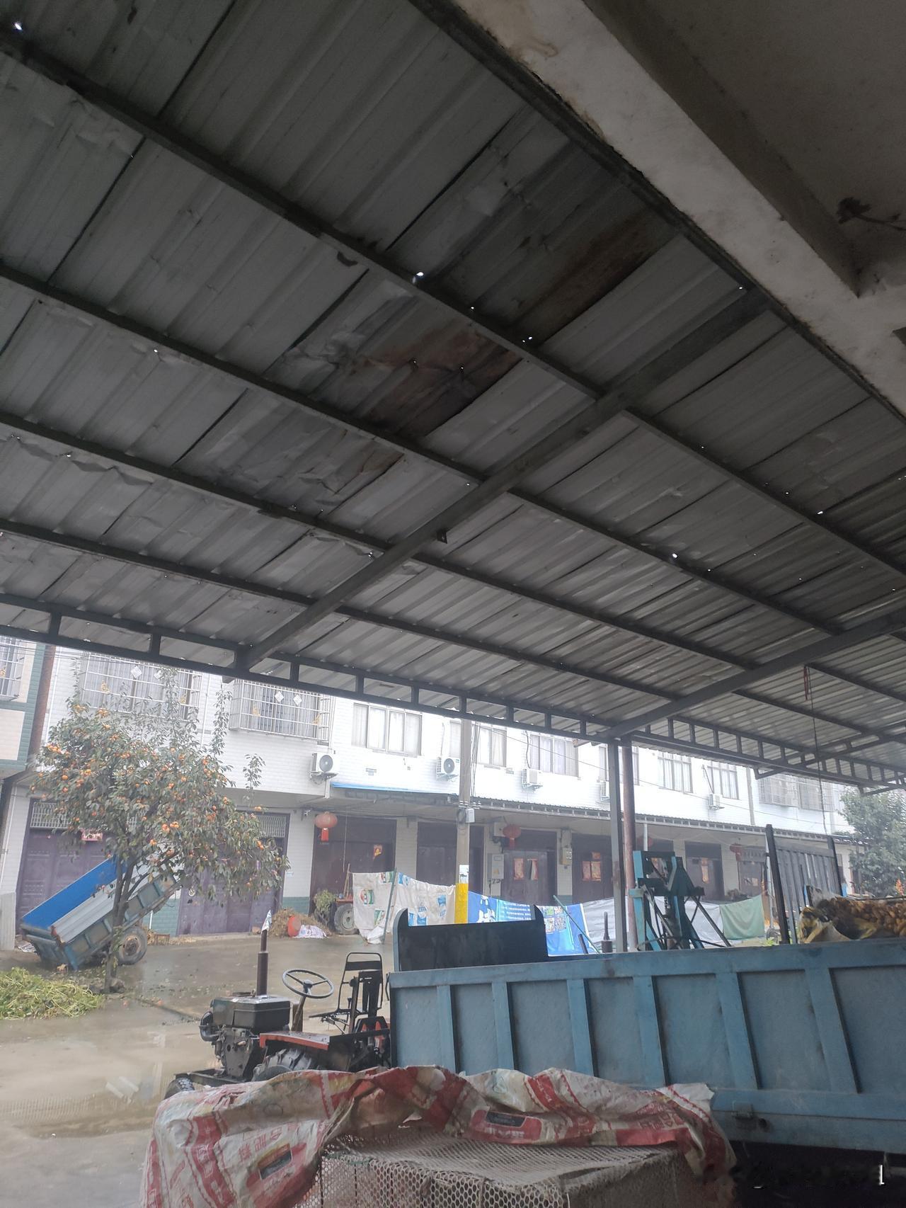不要在铁棚下面养鸡我发现，现在农村都用笼子养点鸡供自家吃，把鸡笼放在铁棚子下，